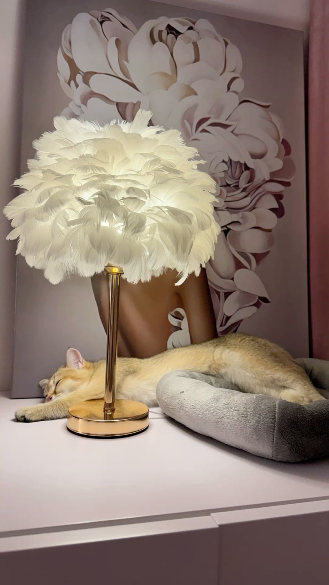 Feather Lamp